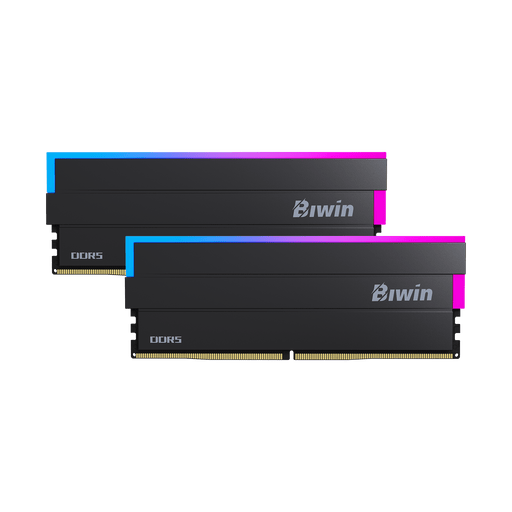 Two Biwin RAM modules with RGB lighting on a transparent background