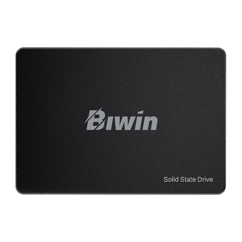 BIWIN M100 256GB 2.5in SATA SSD 500MB/s Read 550MB/s Write