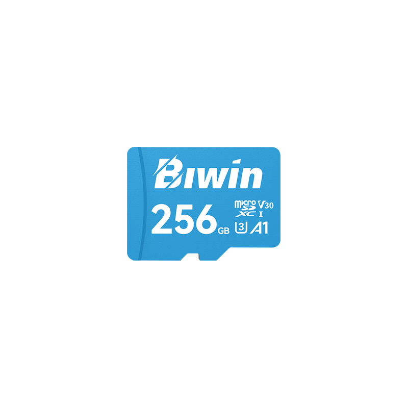 Biwin MS100 microSD Card - 0