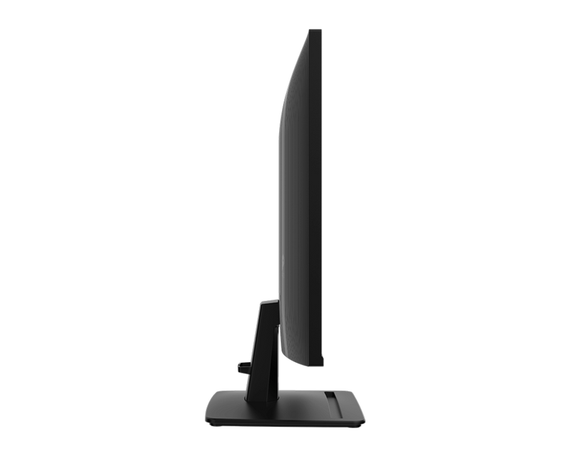 PRO MP251 E2 Monitor - 2