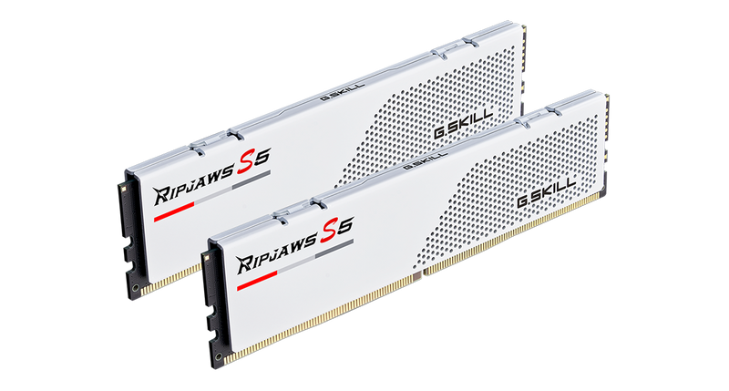 Off center shot of the front of the Two G.SKILL RipJaws S5 RAM modules on a white background