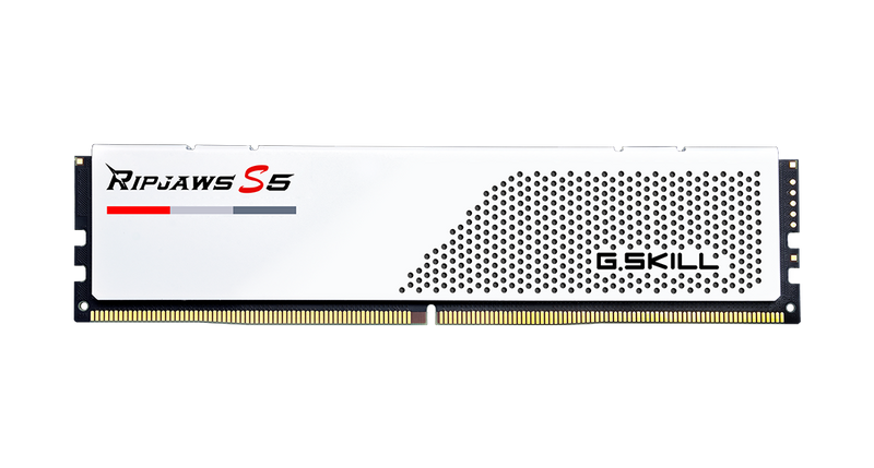 G.Skill Ripjaws RAM module on a white background