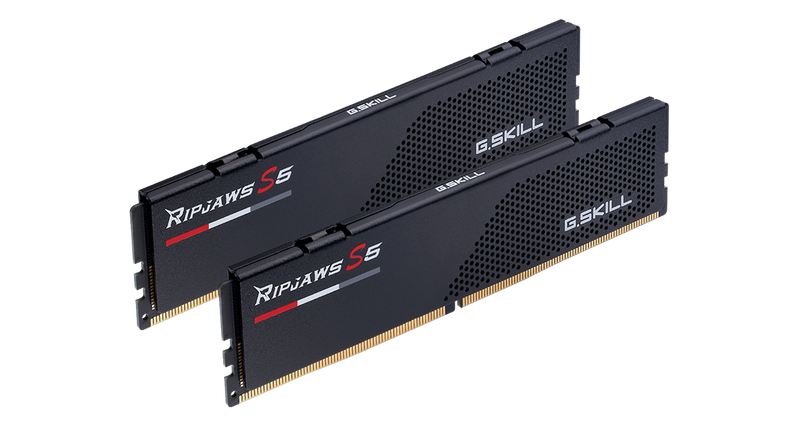 G.SKILL F5-5200J3636C16GX2-RS5K 32G(2X16G) DDR5 5200MHZ