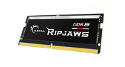 G.SKILL F5-5200S3838A16GX1-RS 16GB (1 x 16GB)/ DDR5 5200 MT/s / Timings 38-38-38-83/ Voltage 1.1V/ Ripjaws