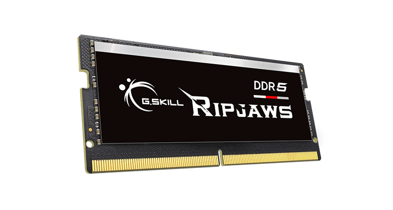 DDR5 48GB RAM G.SKILL 5600MHz (1x48GB) CL46 UDIMM Laptop Memory Module XMP Support