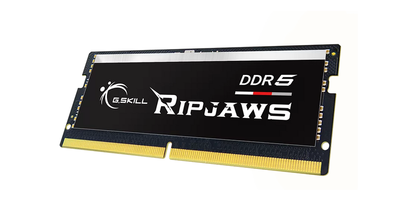 G.Skill Ripjaws DDR5 RAM module on a white background