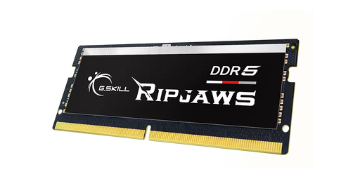 G.Skill Ripjaws DDR5 RAM module on a white background