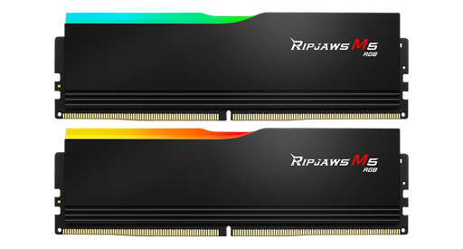 G.SKILL F5-6000J3648D16GX2-RM5RK GB (2 x 16GB)/ DDR5 6000 MT/s