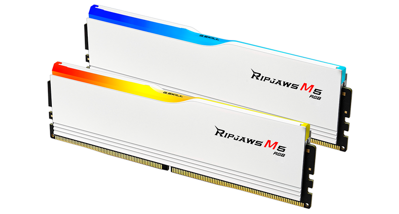 G.SKILL F5-6000J3648D16GX2-RM5RW GB (2 x 16GB)/ DDR5 6000 MT/s