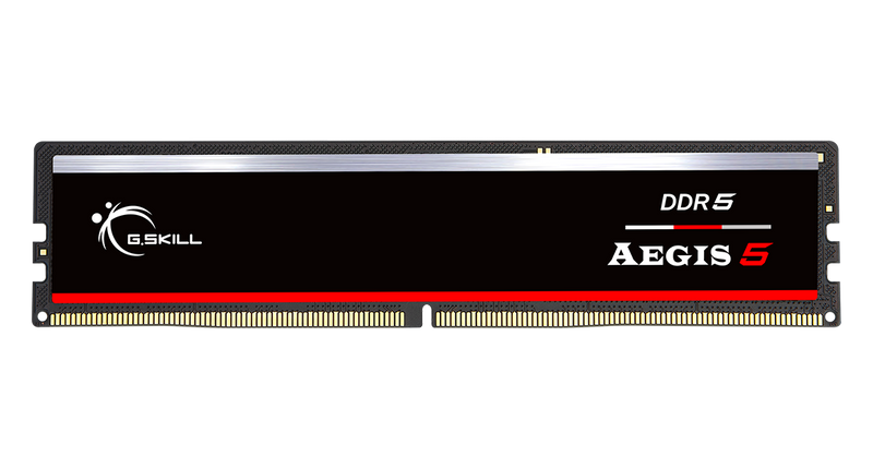 G.SKILL F5-6000J3636F16GX1-IS 16GB (1 x 16GB)/ DDR5 6000 MT/s