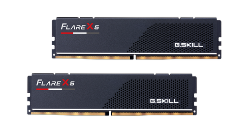 Two G.Skill Flare X5 RAM modules on a white background