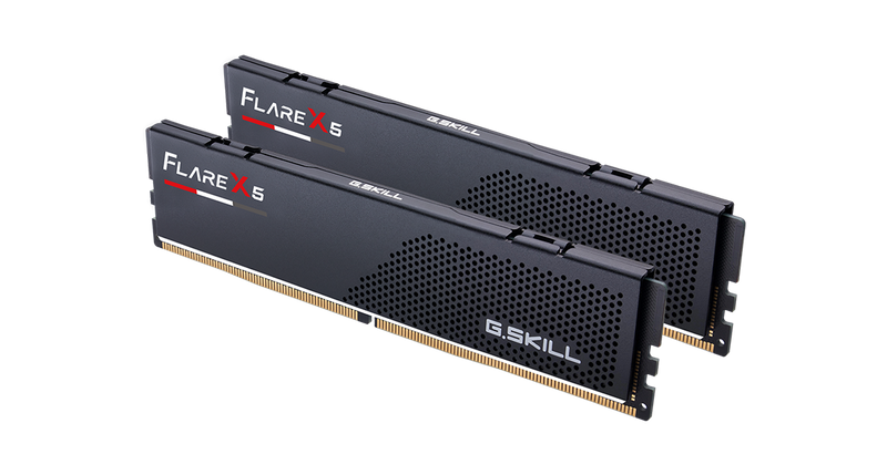 Two G.SKILL Flare X5 RAM modules on a white background
