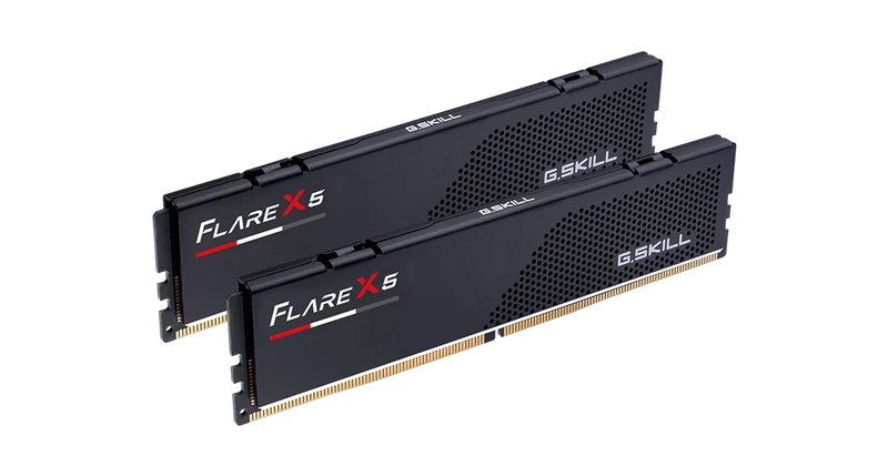 G.SKILL Flare X5 16GB (2x8GB) DDR5 6000MT/s CL30 EXPO Desktop RAM Kit