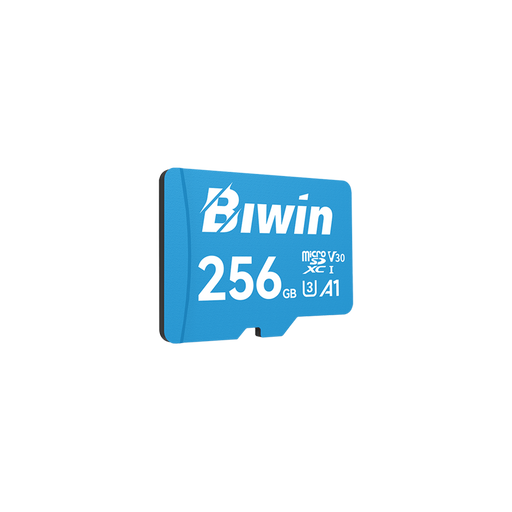 Biwin MS100 microSD Card - 1