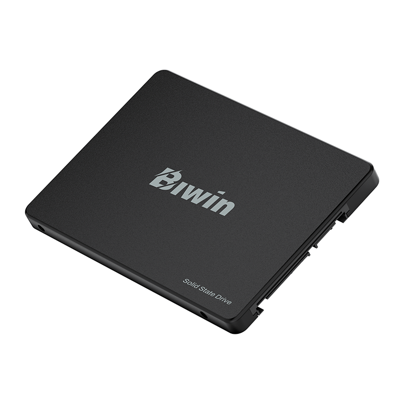 BIWIN M100 256GB 2.5in SATA SSD 500MB/s Read 550MB/s Write