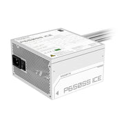 P650SS ICE Power Supply - 3