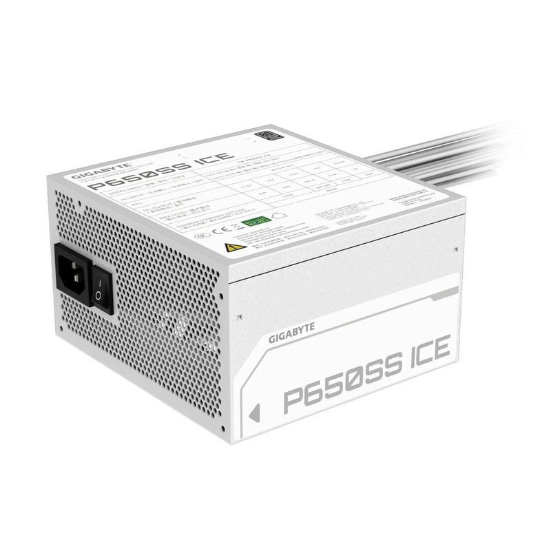 P650SS ICE Power Supply - 3
