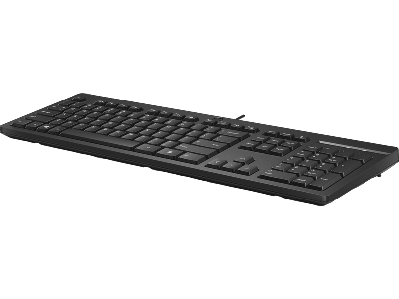HP 125 Wired Keyboard - BLACK -ï¿½ï¿½ï¿½ï¿½ 266C9AA