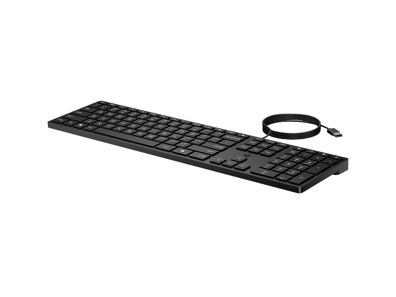 HP Wired 320K Full-Sized Keyboard USB Plug and Play for Windows PCs