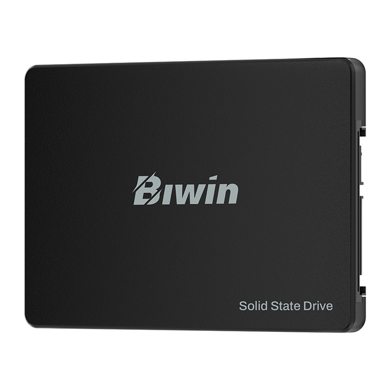 BIWIN M100 256GB 2.5in SATA SSD 500MB/s Read 550MB/s Write