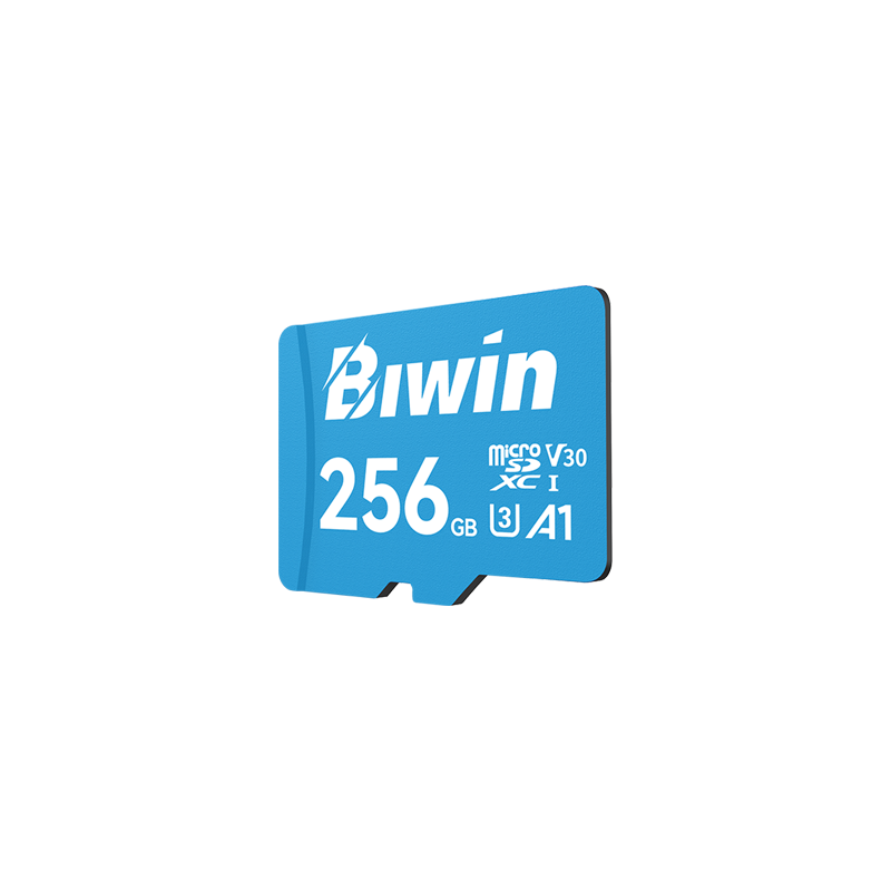 Biwin MS100 microSD Card - 2