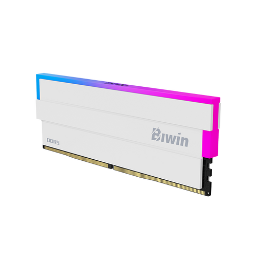 Black Opal DW100 DDR5 RGB Memory - 1