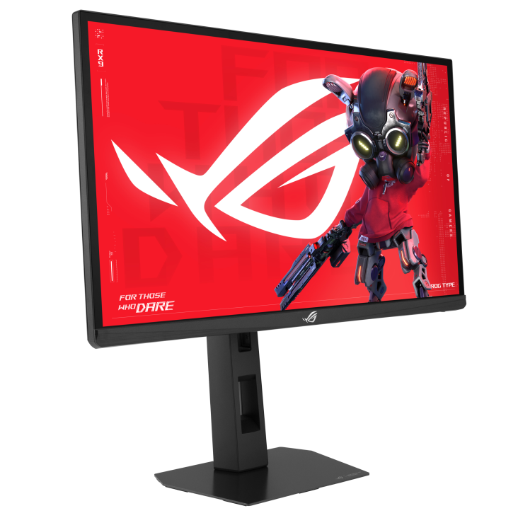 ASUS ROG Strix XG248QSG Ace 24 Inch FHD 610Hz 0.1ms Gaming Monitor