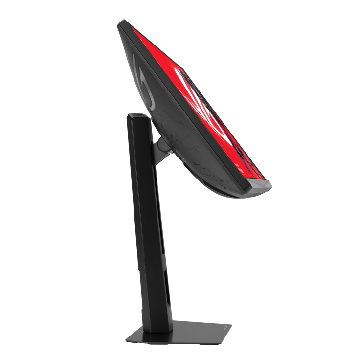 ASUS ROG Strix XG248QSG Ace 24 Inch FHD 610Hz 0.1ms Gaming Monitor