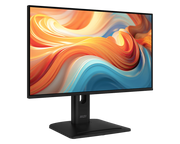 PRO MP245PG E14 Monitor - 1