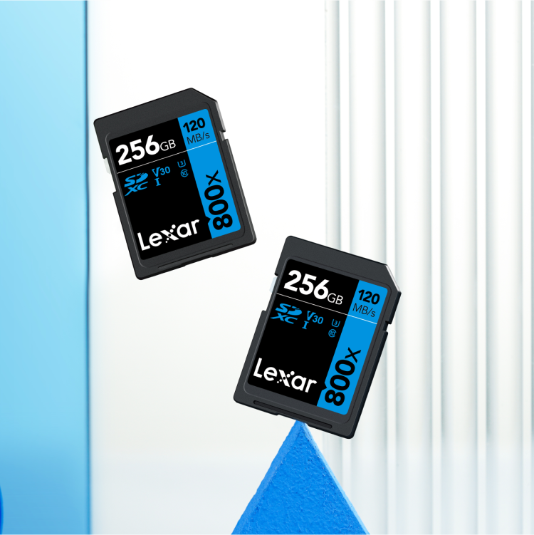 256GB SDXC/SDHC Memory Card - 2