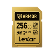 256GB SDXC Memory Card - 0