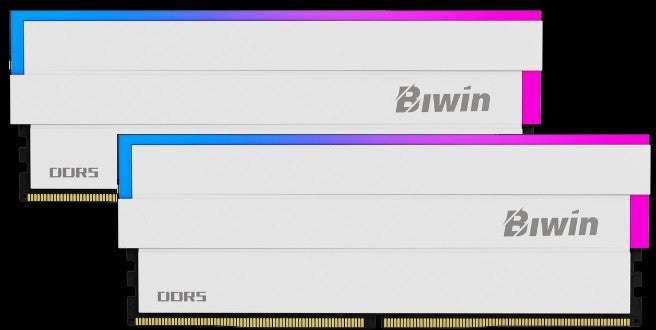 Black Opal DW100 DDR5 RGB Memory - 2