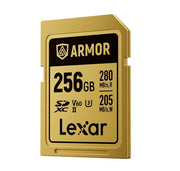 256GB SDXC Memory Card - 1