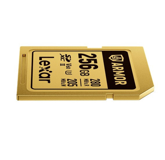256GB SDXC Memory Card - 3