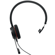 Jabra Evolve 20 Headset - 2