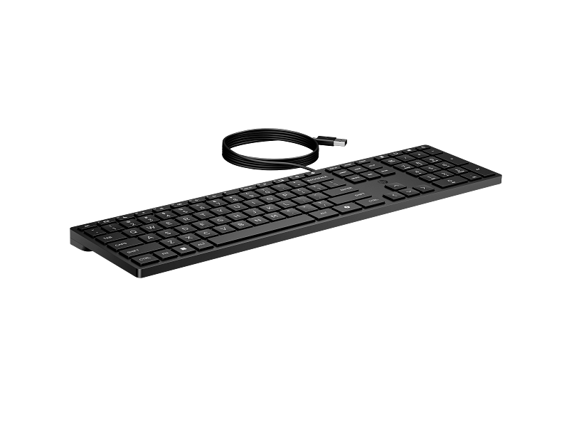 HP Wired 320K Full-Sized Keyboard USB Plug and Play for Windows PCs