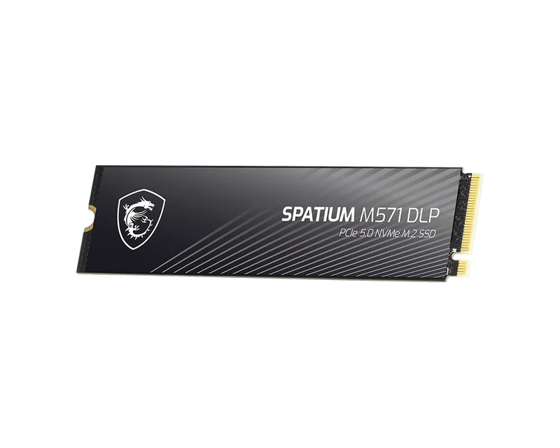 MSI SPATIUM M571 DLP 4TB PCIe 5.0 NVMe M.2 SSD 14500MB/s Gaming Storage
