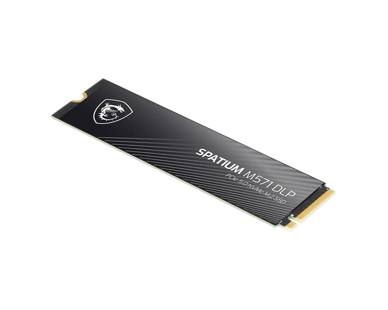 MSI SPATIUM M571 DLP 4TB PCIe 5.0 NVMe M.2 SSD 14500MB/s Gaming Storage
