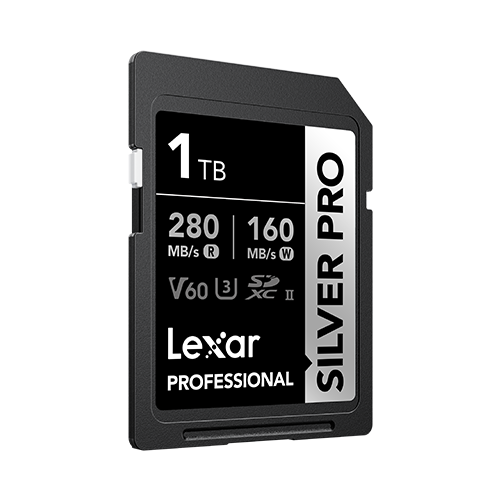 1TB Professional SILVER PRO SDXC UHS-II Card - 1