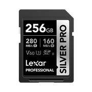 256GB Professional SILVER PRO SDX UHS-II Card - 0