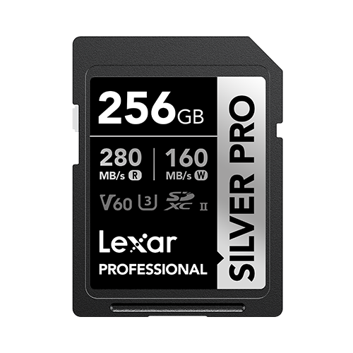 256GB Professional SILVER PRO SDX UHS-II Card - 0