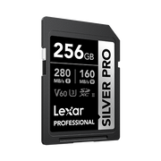 256GB Professional SILVER PRO SDX UHS-II Card - 1