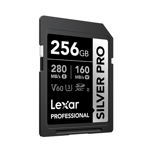 256GB Professional SILVER PRO SDX UHS-II Card - 1