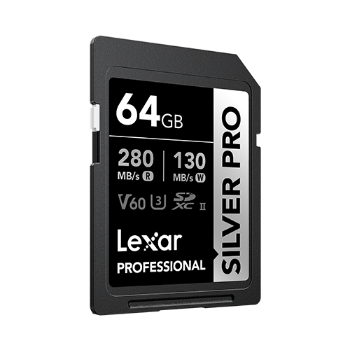 64GB Professional SILVER PRO SDXC UHS-II Card - 1