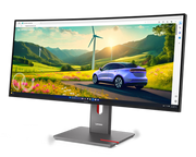 Lenovo P34WD-40 34-inch Monitor - 1